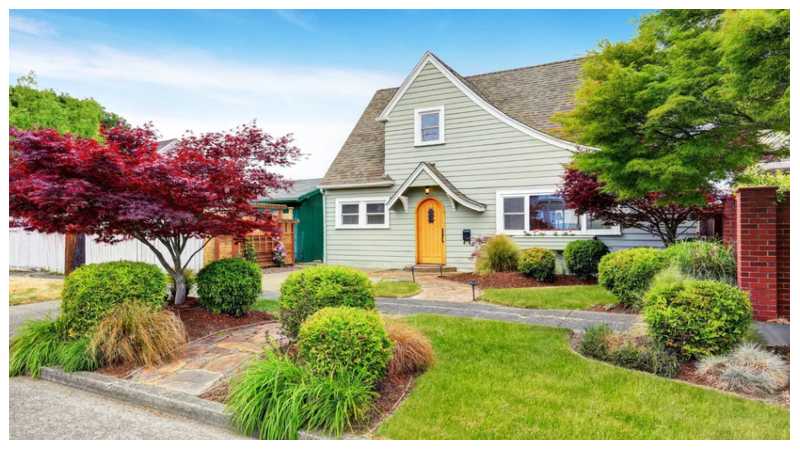 Choosing the Right Trees for Your Garden and Landscape